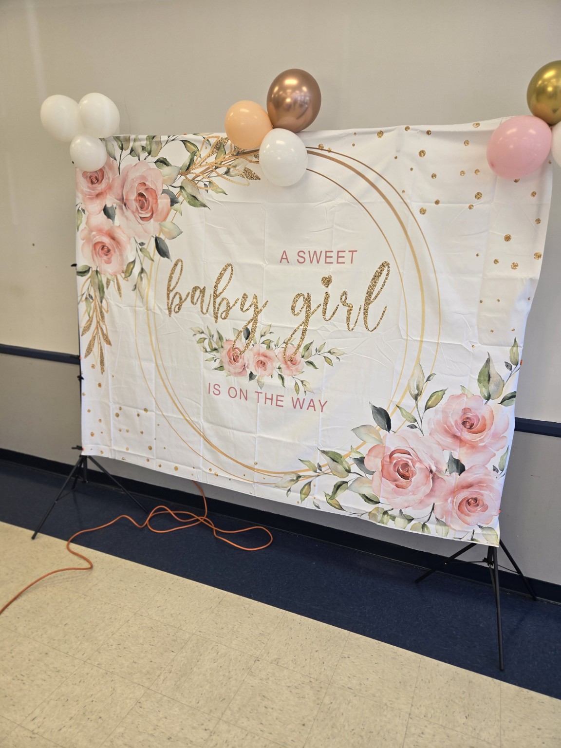 Baby Shower Backdrop Detail