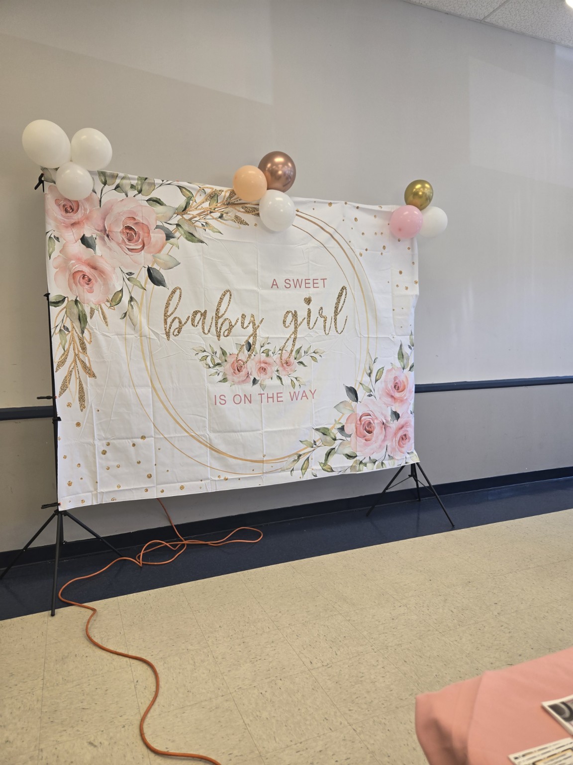 Baby Shower Backdrop